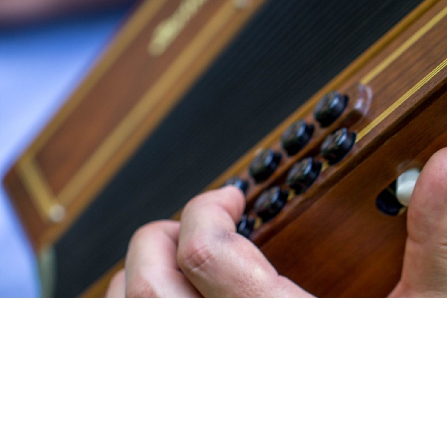 Photo accordéon diato 03